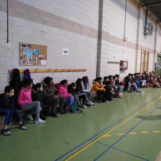 Gimnasia de trampolín 10