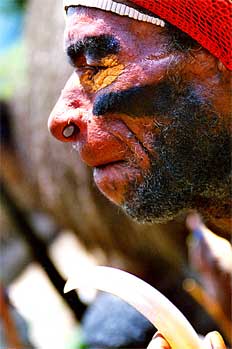 Decoración de cara y nariz, Irian Jaya, Indonesia