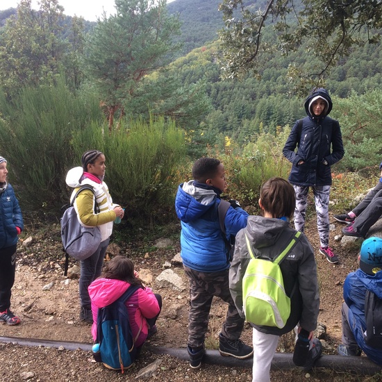 Fotos excursión a Cercedilla 6º 11