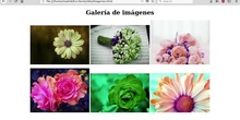 Web imagenes