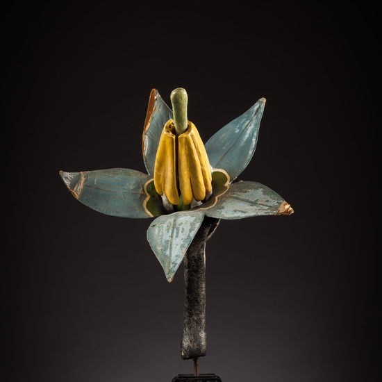 IES_ISABELLACATOLICA_BIOLOGIA_018