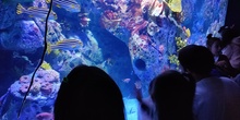 FOTOS AQUARIUM 3 17