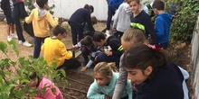 2018_11_CUARTO DISEÑANDO EL JARDIN DE LOS SENTIDOS_CEIP FDLR_LAS ROZAS