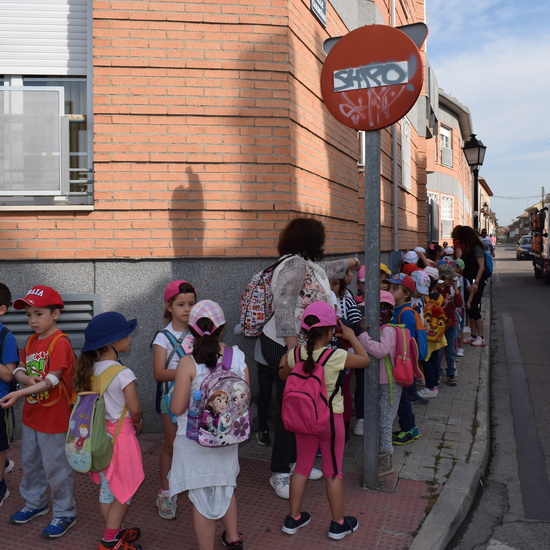 Siembra Huerta Balta 5 años 2018 3