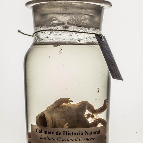 IES_CARDENALCISNEROS_CIENCIASNATURALES_207