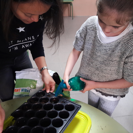 Planting seeds 5