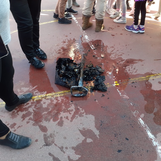 CARNAVAL CIUDAD PEGASO FEBRERO '20 VIII 44