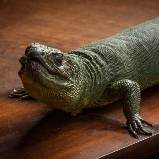 IES_CARDENALCISNEROS_CIENCIASNATURALES_309