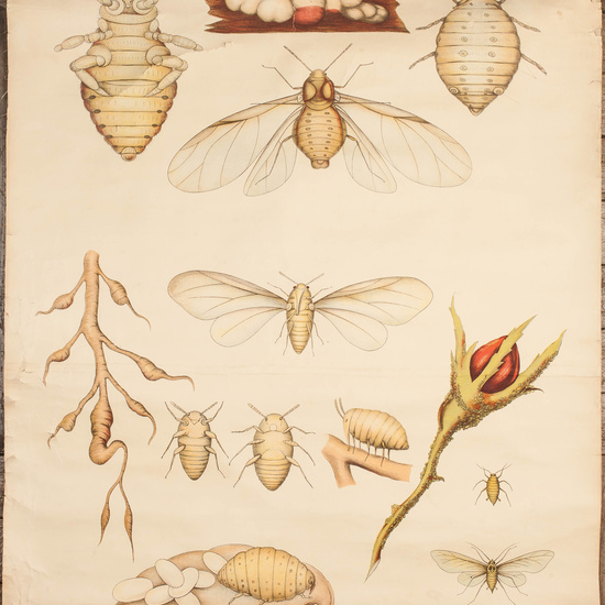 IES_RAMIRODEMAEZTU_BIOLOGIA_001