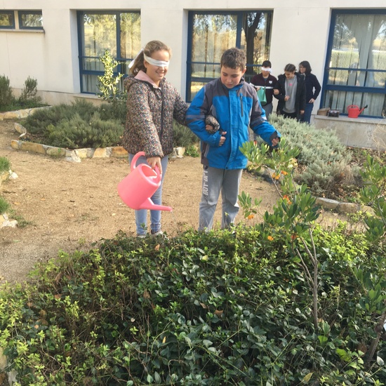 Albergue 6º - 1º día (tarde) 15