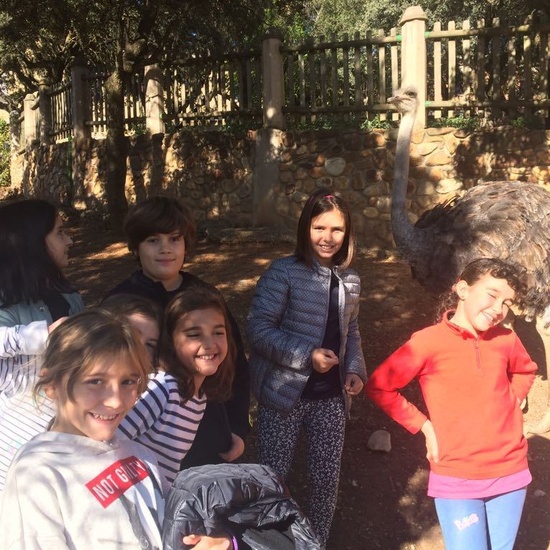 Mohernando 2017_3 49