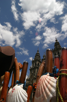 Conchas de vieiras del Camino de Santiago, La Coruña, Galicia