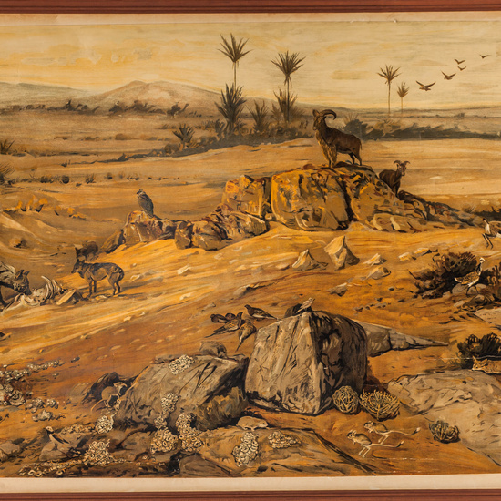 IES_SANISIDRO_LAMINAS_024