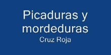Picaduras y mordeduras