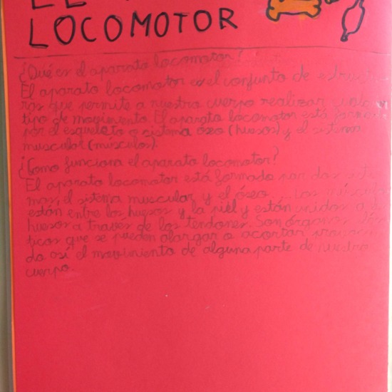 [Lapbook] - Mi atlas del cuerpo humano (3º de primaria) - IMAGEN 11