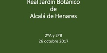 Visita al Real Jardín Botánico de Alcalá de Henares