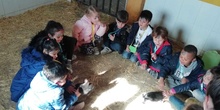 Granja Escuela "El Álamo". Infantil 4-5 años 3