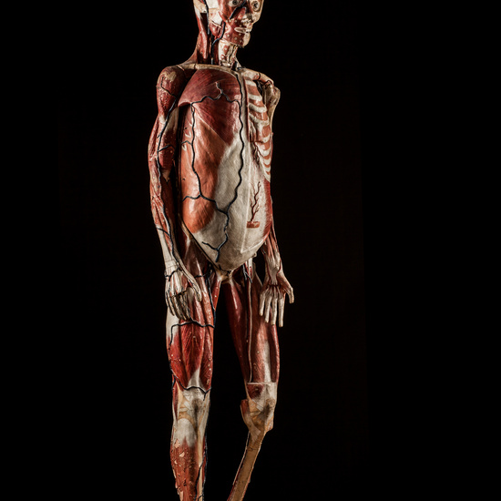 IES_CERVANTES_BIOLOGIA_066