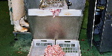 Picadora de carne