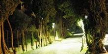 Fucecchio de noche