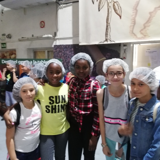 Fabrica chocolate  11