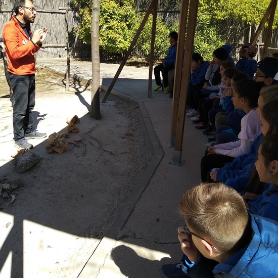 Arqueopinto 4º 19 19