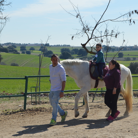 GRANJA ESCUELA ALBITANA 40