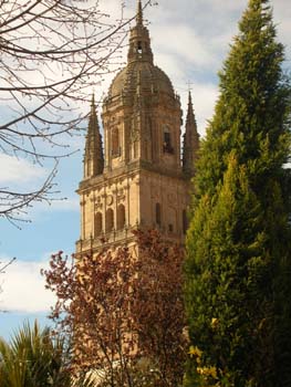 Catedral Vieja, Salamanca, Castilla y León