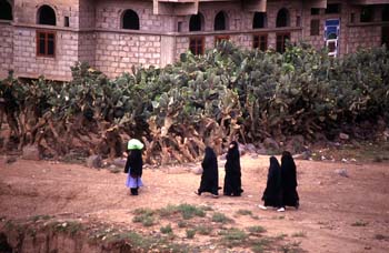 Grupo de mujeres paseando en Amran, Yemen