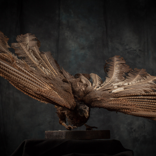 IES_SANISIDRO_BIOLOGIA_325