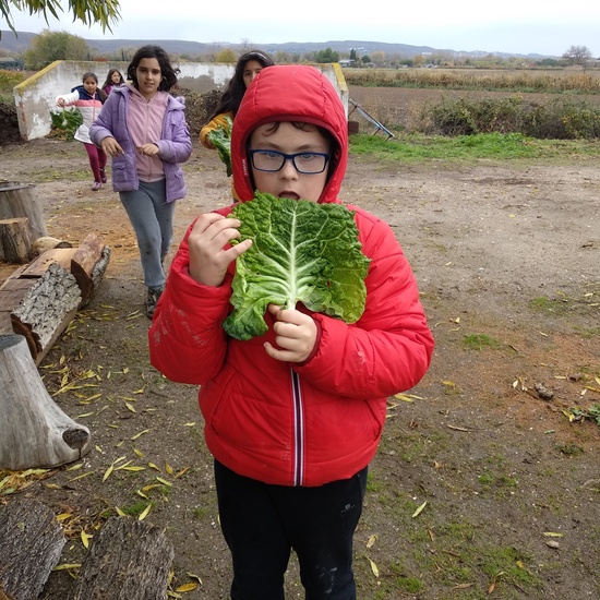 Albergue 5º- 3º día (mañana) 13