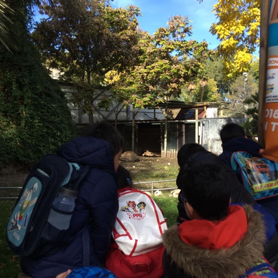 Excursión al zoo 5 años, 1º y 2º Luis Bello 14