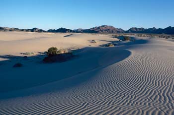 Dunas, Laguna Salada