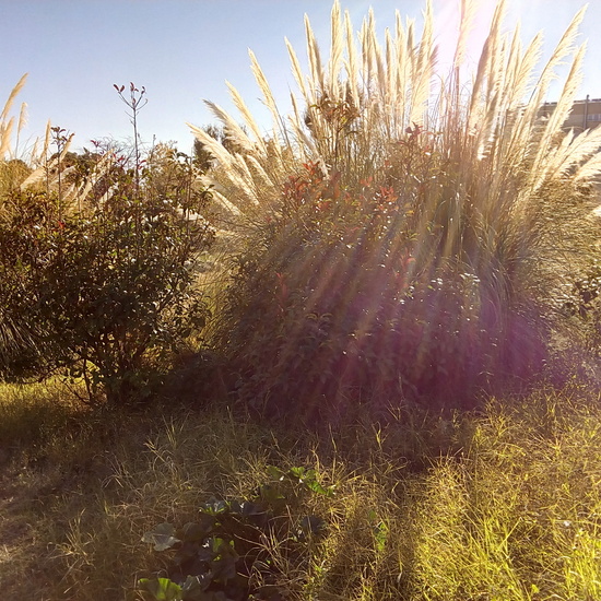 VISITA CARABANCHEL. 6º 17