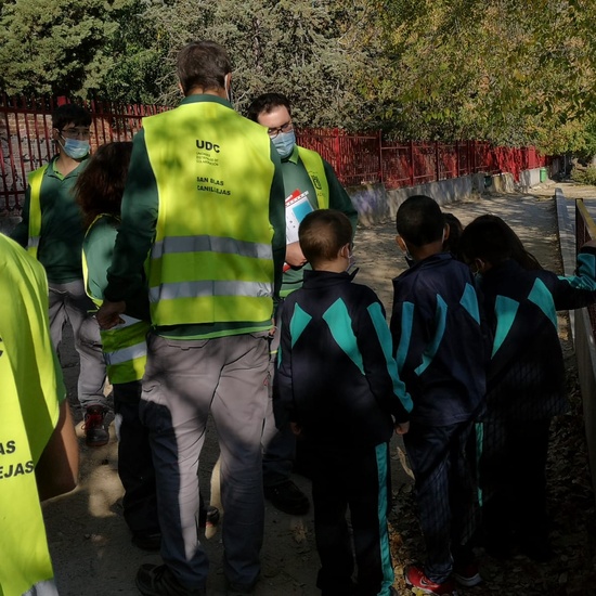 Hotel de insectos 25