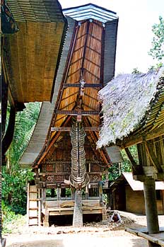 Fachada de casa-barco sobre clásicos pilotes, Sulawesi, Indonesi