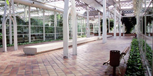 Interior de jardín botánico