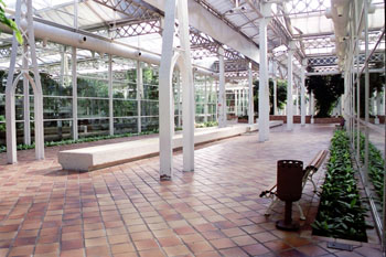 Interior de jardín botánico
