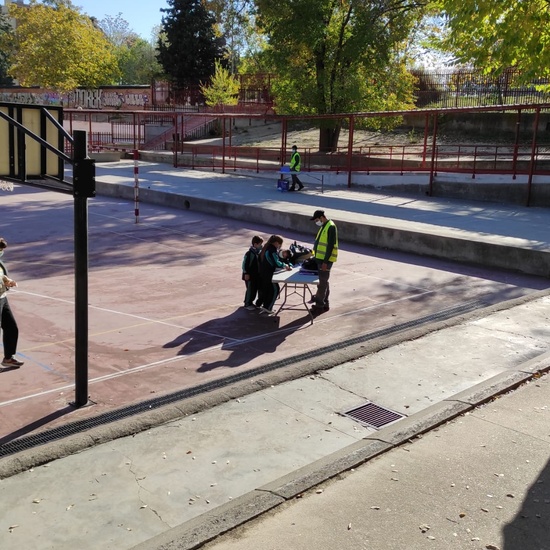 Hotel de insectos 23