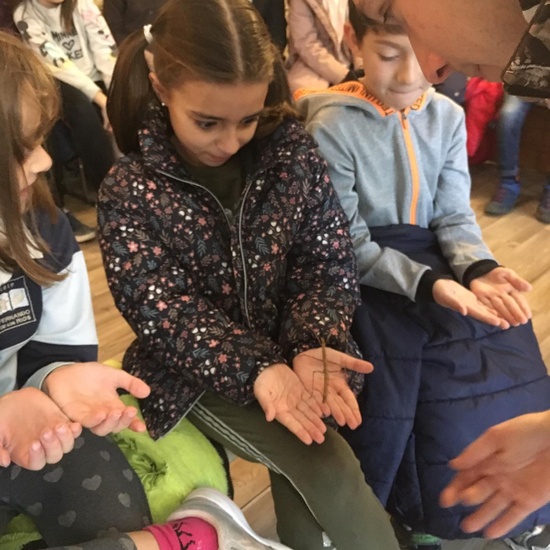 2020_02_27_3º visita Insectpark (1)_CEIP FDLR_Las Rozas 27