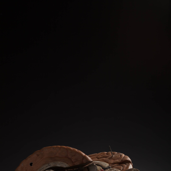 IES_CARDENALCISNEROS_ANATOMIA_MODELOS_102