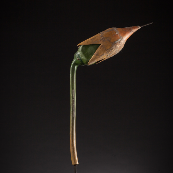 IES_ISABELLACATOLICA_BIOLOGIA_076