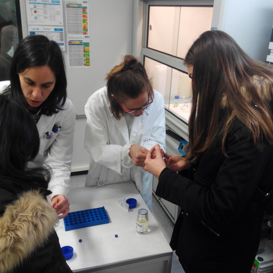 Ciencia, Tecnología y Nutrición 1