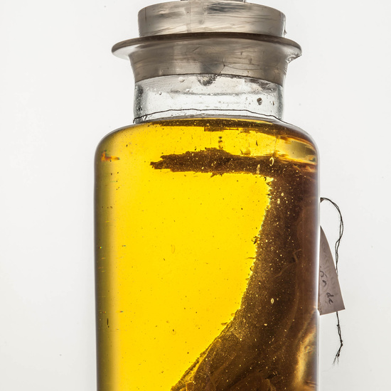 IES_SANISIDRO_MUSEO_BOTES_014