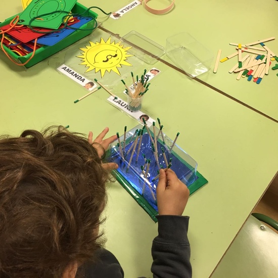 E. Infantil y sus proyectos 11