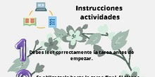 Instrucciones T5 Canva