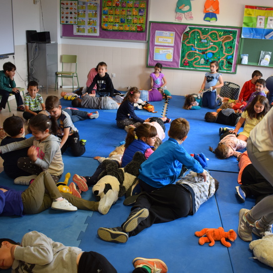 Primeros Auxilios 2 2018 2