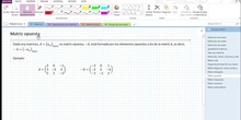2Bto - 01 - Matrices - 03 - Tipos de matrices II