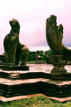 Detalle de hidra en Angkor, Camboya