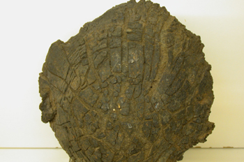 Basalto, bomba volcánica (La Palma)